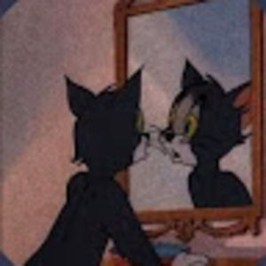 Meet your Posher, Miranda